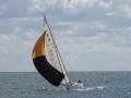DSC00913