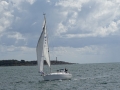 DSC00919