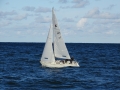 DSC00879